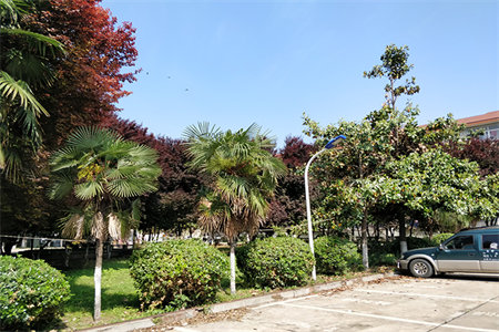 密州红杉一品5室3厅3卫210万280m2精装修出售